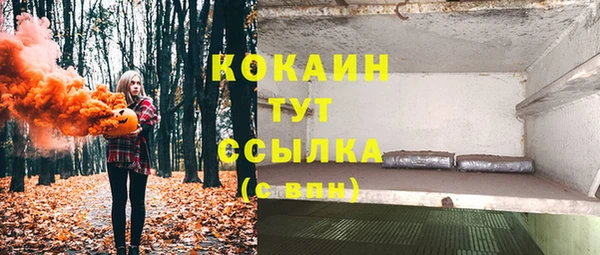 стафф Белокуриха