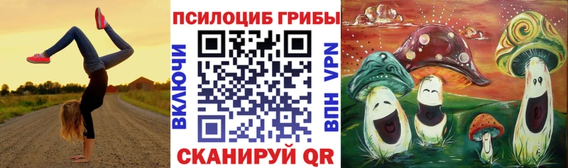 Галлюциногенные грибы Psilocybe Вяземский